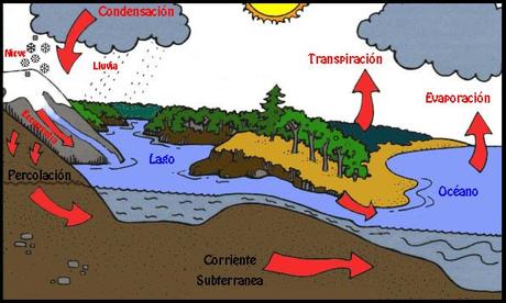 ELEMENTOS DEL CLIMA (V): LAS PRECIPITACIONES ELEMENTOS DEL CLIMA (V): LAS PRECIPITACIONES
