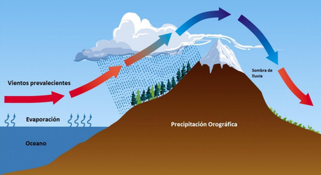 ELEMENTOS DEL CLIMA (V): LAS PRECIPITACIONES ELEMENTOS DEL CLIMA (V): LAS PRECIPITACIONES