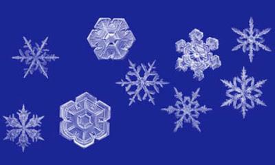 ELEMENTOS DEL CLIMA (V): LAS PRECIPITACIONES ELEMENTOS DEL CLIMA (V): LAS PRECIPITACIONES