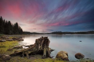 ¿Cómo superar la pérdida de un ser querido? ¿Cómo superar la pérdida de un ser querido?
