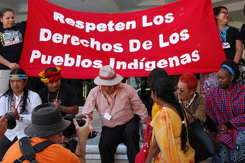 Especial COP16 – Carta abierta al gobierno mexicano: la Sociedad Civil exige un Proceso Transparente y Democrático