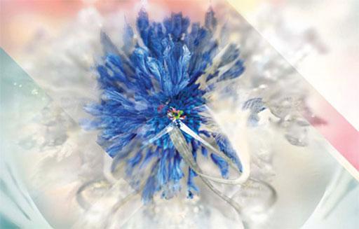 3deluxe 3deluxe, el diseño interdisciplinar