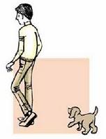 EL TEST DE CAMPBELL EL TEST DE CAMPBELL