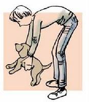 EL TEST DE CAMPBELL EL TEST DE CAMPBELL