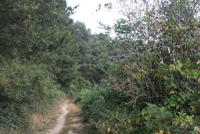 CAMINO DE SANTIAGO ARAGONES 5 ª ETAPA DE IZCO A TIEBAS CAMINO DE SANTIAGO ARAGONES 5 ª ETAPA DE IZCO A TIEBAS