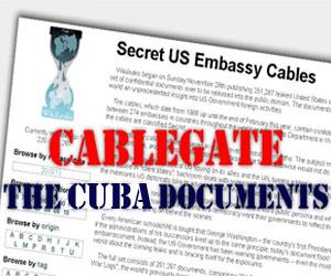 Wikileaks, Cuba y el autismo mediático