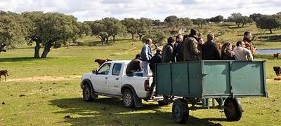 Hacer favores, empollar traidores Hacer favores, empollar traidores