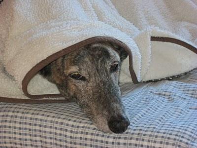 Tres añitos ya....viviendo con un AMOR TAN HERMOSO!! Tres añitos ya....viviendo con un AMOR TAN HERMOSO!!