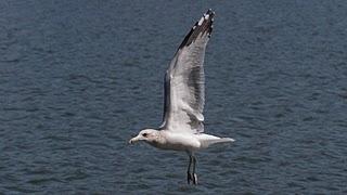 Se tú y nadie más. Se tú y nadie más.