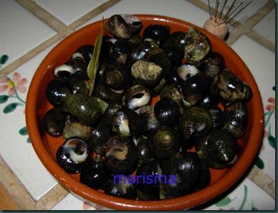 bigaros,racion bigaros,racion