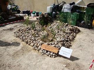 CONCURSO DE JARDINERÍA EN EXPOETCOTE 2010. LLUTXENT (VALENCIA)