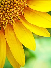 Creación de una retina de 3 dimensiones Creación de una retina de 3 dimensiones