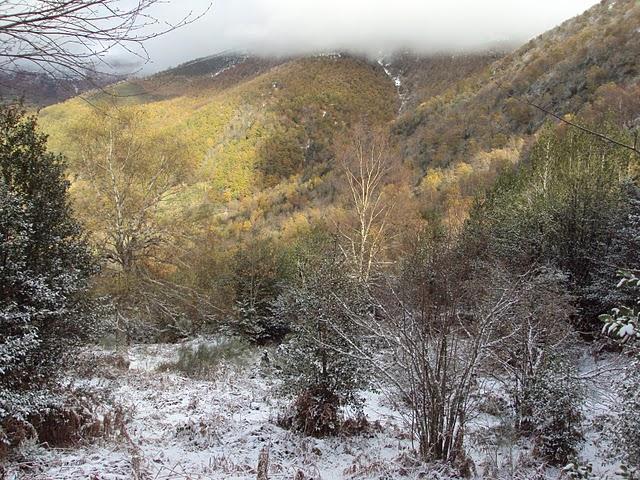 Serra de Ancares: Val do ortigal