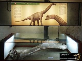 El eterno Museo provisional. El eterno Museo provisional.