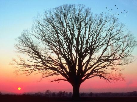 Misión, visión y valores, los tres pilares de una empresa Misión, visión y valores, los tres pilares de una empresa