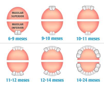 La dentición del bebé