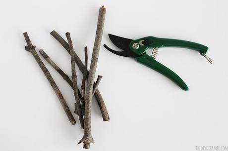 SOÑANDO CON ESTRELLAS... SOÑANDO CON ESTRELLAS...