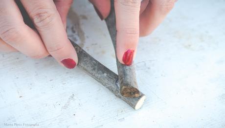 SOÑANDO CON ESTRELLAS... SOÑANDO CON ESTRELLAS...