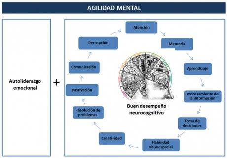 Cómo tener una mente veloz, sana y activa
