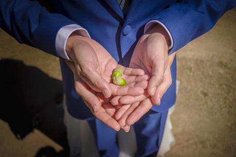 Juan&Rosa: Una boda en la Sierra de Madrid