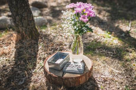 Juan&Rosa: Una boda en la Sierra de Madrid