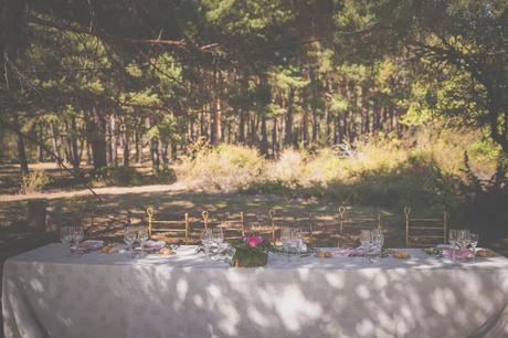 Juan&Rosa: Una boda en la Sierra de Madrid