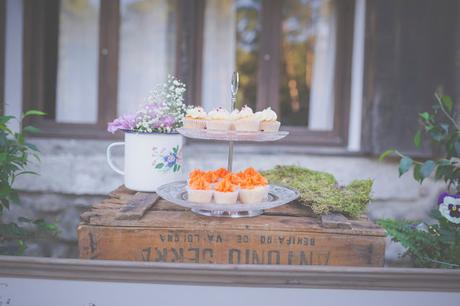 Juan&Rosa: Una boda en la Sierra de Madrid