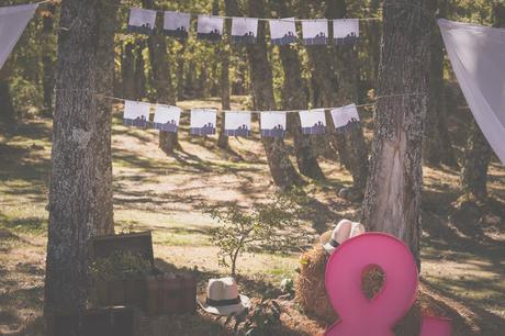 Juan&Rosa: Una boda en la Sierra de Madrid