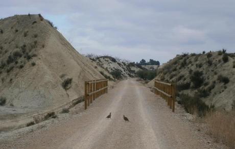 Vía Verde del Noroeste, ubicada en Murcia nos permite apreciar un circuito que cambia constantemente su entorno