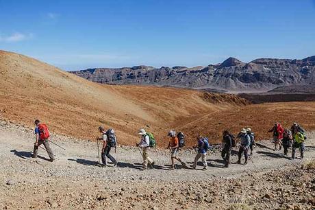 Senderismo en el paraiso,Tenerife Walking Festival. Tenerife Walking Festival 2016.