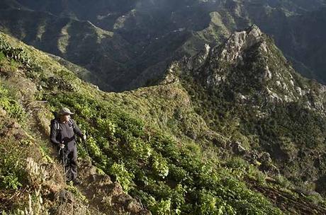 Senderismo en el paraiso,Tenerife Walking Festival. Tenerife Walking Festival 2016.