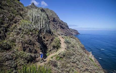 Senderismo en el paraiso,Tenerife Walking Festival. Tenerife Walking Festival 2016.