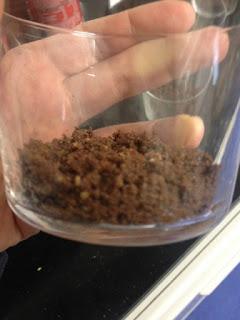 CHEESECAKE CON M&M´s CHEESECAKE CON M&M´s