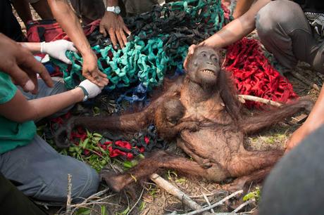 2015: UN AÑO EN IMÁGENES 2015: UN AÑO EN IMÁGENES
