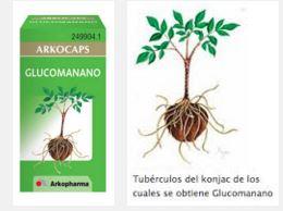 glucomanano, fibra para no pasar hambre y limpiar la piel glucomanano, fibra para no pasar hambre y limpiar la piel