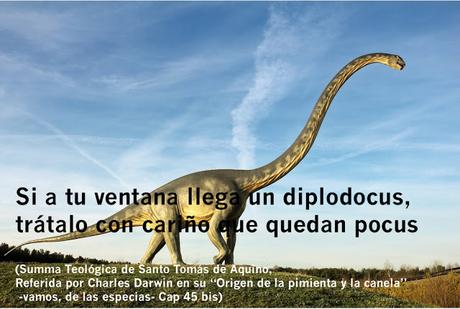 Bruselas: El mercado de la Plaza Meudon y un cementerio convertido en parque infantil Bruselas: El mercado de la Plaza Meudon y un cementerio convertido en parque infantil