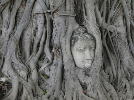 AYUTTHAYA AYUTTHAYA