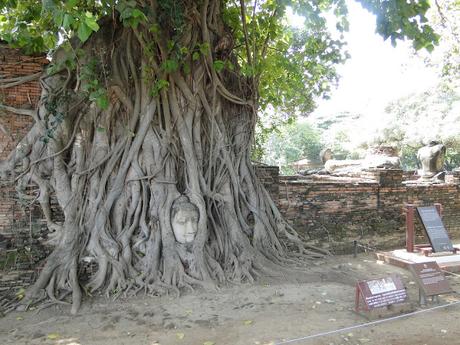 AYUTTHAYA AYUTTHAYA