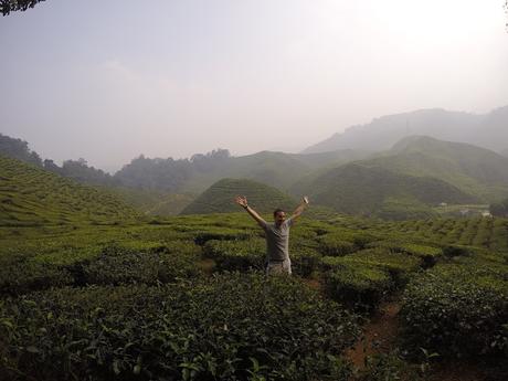 CAMERON HIGHLANDS CAMERON HIGHLANDS