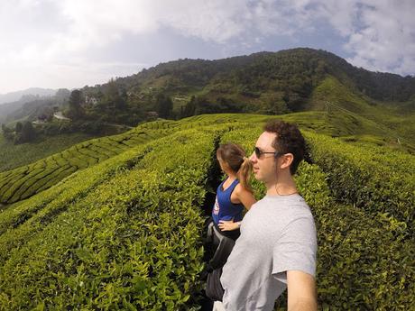 CAMERON HIGHLANDS CAMERON HIGHLANDS