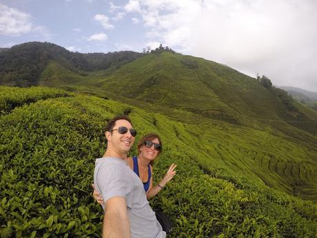 CAMERON HIGHLANDS CAMERON HIGHLANDS
