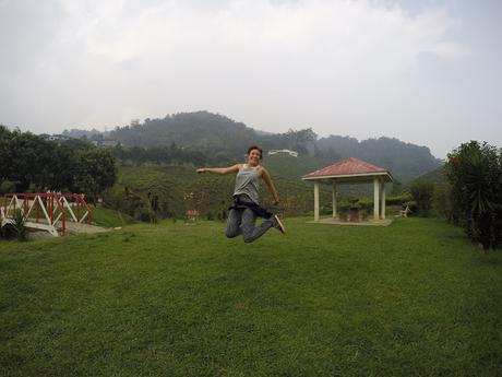 CAMERON HIGHLANDS CAMERON HIGHLANDS