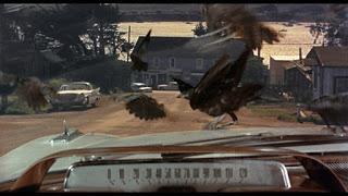 Los pájaros (The birds, Alfred Hitchcock, 1963. EEUU)