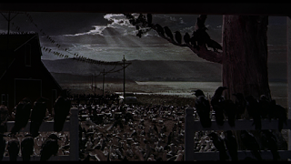 Los pájaros (The birds, Alfred Hitchcock, 1963. EEUU)