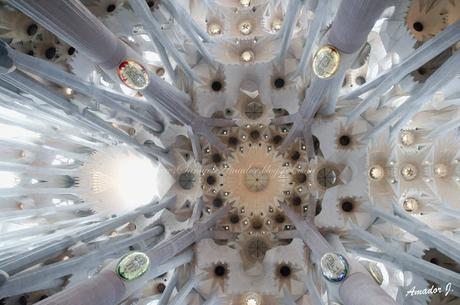 BARCELONA: SAGRADA FAMILIA