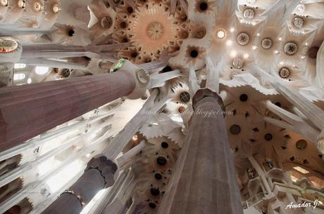 BARCELONA: SAGRADA FAMILIA