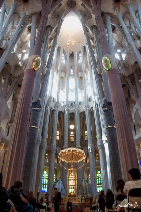 BARCELONA: SAGRADA FAMILIA