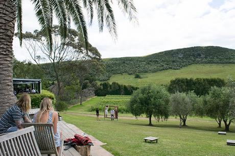 El vino en Nueva Zelanda y una cata en Waiheke El vino en Nueva Zelanda y una cata en Waiheke