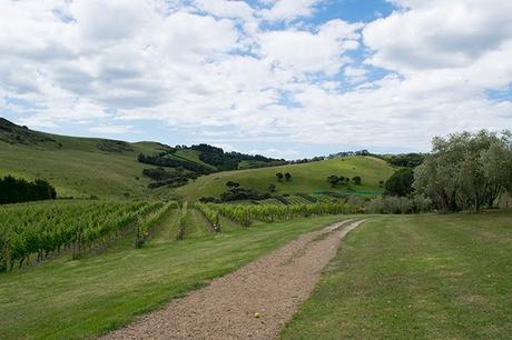 El vino en Nueva Zelanda y una cata en Waiheke El vino en Nueva Zelanda y una cata en Waiheke