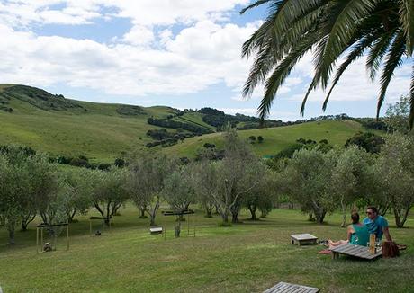 El vino en Nueva Zelanda y una cata en Waiheke El vino en Nueva Zelanda y una cata en Waiheke